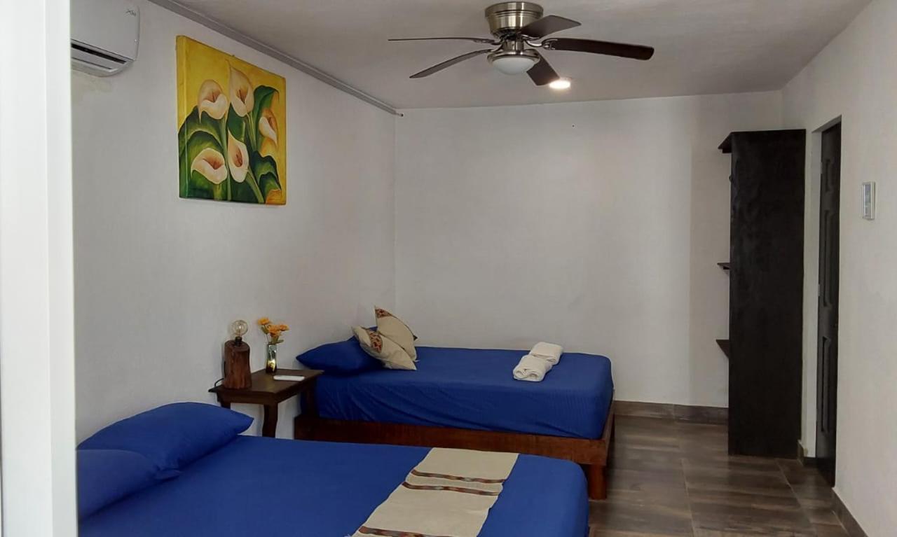 Villas Carlota كانكون المظهر الخارجي الصورة